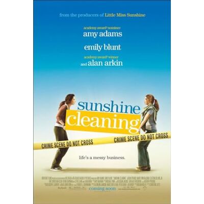Savor Sunshine cleaning Savor Sunshine cleaning
