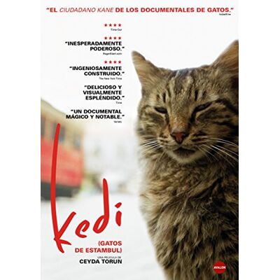 Cameo Kedi (Gatos de Estambul) Cameo Kedi (Gatos de Estambul)