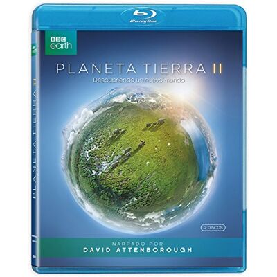 Cameo Planeta tierra II Cameo Planeta tierra II