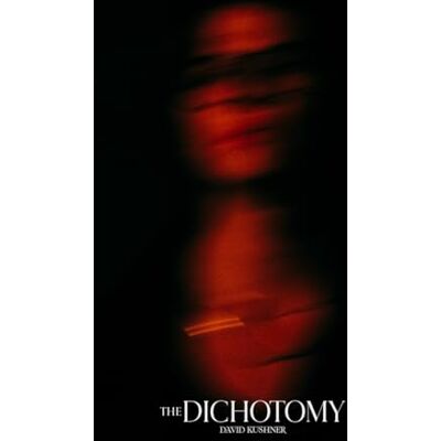 DOMINO The Dichotomy DOMINO The Dichotomy