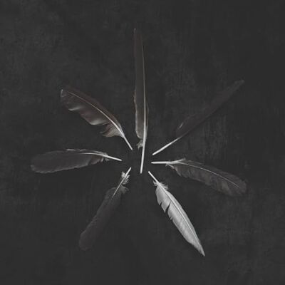 Crown Dust And Disquiet Crown Dust And Disquiet