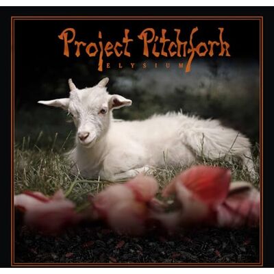Pro-Ject Elysium Pro-Ject Elysium