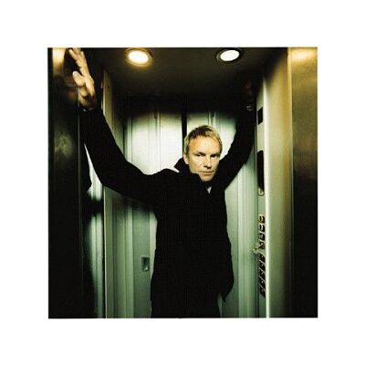 Sting Marca New Day Sting Marca New Day