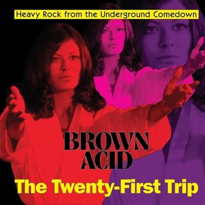 Various Brown Acid: The Twenty-First Trip Various Brown Acid: The Twenty-First Trip