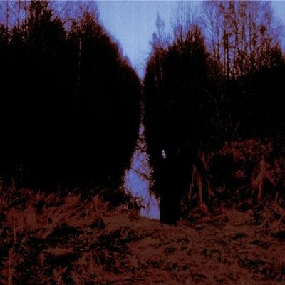 Opeth My Arms Your Hearse Opeth My Arms Your Hearse