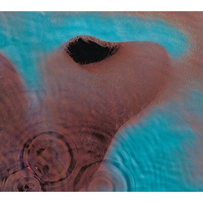 Pink Floyd Meddle. Pink Floyd Meddle.