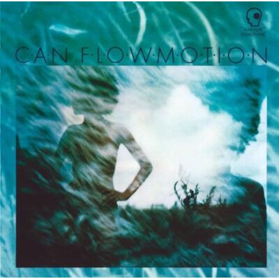 Can Flow Motion Can Flow Motion
