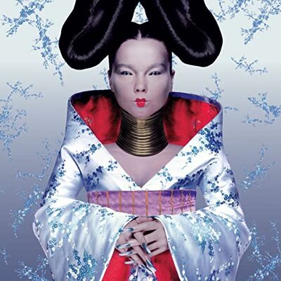 Björk Homogenic Björk Homogenic