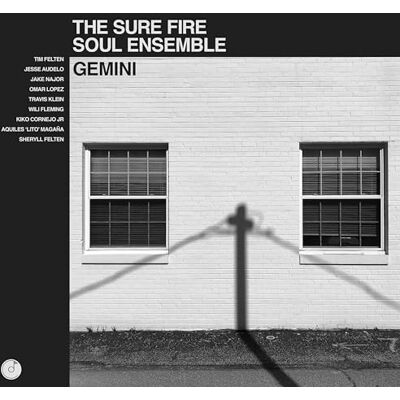Ensemble Gemini Ensemble Gemini