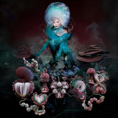 Björk Fossora Björk Fossora