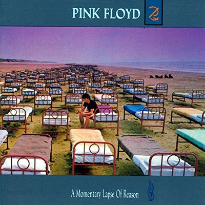 Pink Floyd A Momentary Lapse of Reas Pink Floyd A Momentary Lapse of Reas