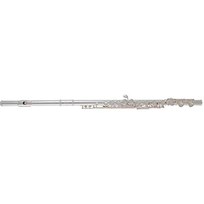GEWA Roy Benson Flauta FL-602E (diseño premium bañado en plata niquelada, pastilla PISONI e innovador mecanismo E, para músicos exigentes, incluye accesorios de cuidado y funda protectora) GEWA Roy Benson Flauta FL-602E (diseño premium bañado en plata niquelada, pastilla PISONI e innovador mecanismo E, para músicos exigentes, incluye accesorios de cuidado y funda protectora)