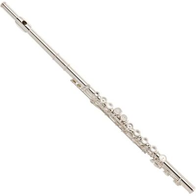 gear4music Flauta Deluxe de Cabeza de Plata Maciza, Diseño de Agujeros Cerrados con Mecanismo de Mi Dividido, para Principiantes en Progreso gear4music Flauta Deluxe de Cabeza de Plata Maciza, Diseño de Agujeros Cerrados con Mecanismo de Mi Dividido, para Principiantes en Progreso