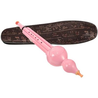 DVCSDE Hulusi Para Principiantes Clave Hulusi Flauta Grabadora Instrumento Plástico 7 Agujeros Durable Resistente A Caídas Principiante Música Soprano(Pink) DVCSDE Hulusi Para Principiantes Clave Hulusi Flauta Grabadora Instrumento Plástico 7 Agujeros Durable Resistente A Caídas Principiante Música Soprano(Pink)