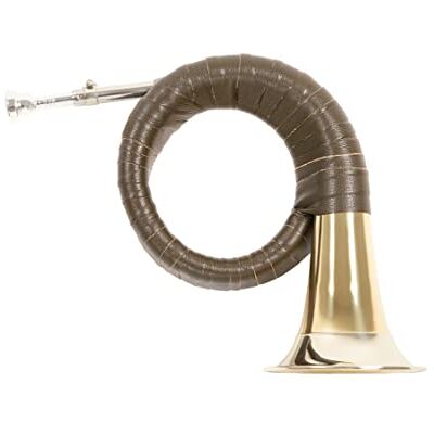 GEWA Roy Benson Prince Pless Horn HH-101 (campana de latón de primera calidad, borde de alpaca, exclusiva corredera de afinación, elegante envoltura de polipiel verde, bolsa de nylon incluida) GEWA Roy Benson Prince Pless Horn HH-101 (campana de latón de primera calidad, borde de alpaca, exclusiva corredera de afinación, elegante envoltura de polipiel verde, bolsa de nylon incluida)