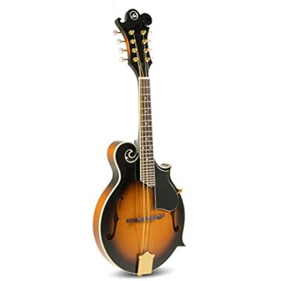 GEWA Mandolina F-1 Select Tapa de abeto Fondo/aros de arce Mecánicas doradas Puente ajustable en altura Incl. estuche premium Acabado brillo Vintage Sunburst GEWA Mandolina F-1 Select Tapa de abeto Fondo/aros de arce Mecánicas doradas Puente ajustable en altura Incl. estuche premium Acabado brillo Vintage Sunburst