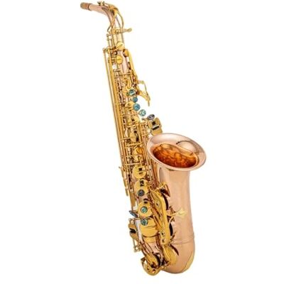 LJERFSW Saxofón De Latón Saxofón Alto Bronce Fosforado Cobre Cañas Para Saxofón Alto Instrumento Musical De Cuello(Bag B) LJERFSW Saxofón De Latón Saxofón Alto Bronce Fosforado Cobre Cañas Para Saxofón Alto Instrumento Musical De Cuello(Bag B)