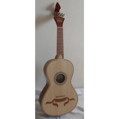 APC VIOLA BRAGUESA (250L) APC VIOLA BRAGUESA (250L)