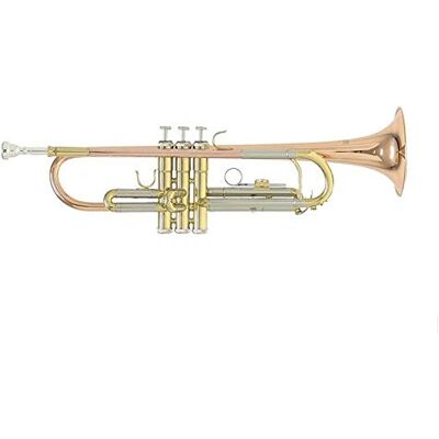 GEWA Roy Benson Trompeta Sib TR-202G (Construcción duradera de latón dorado, con estuche rectangular ligero, juego de mochila, válvulas de acero inoxidable de primera calidad, para músicos profesionales) GEWA Roy Benson Trompeta Sib TR-202G (Construcción duradera de latón dorado, con estuche rectangular ligero, juego de mochila, válvulas de acero inoxidable de primera calidad, para músicos profesionales)