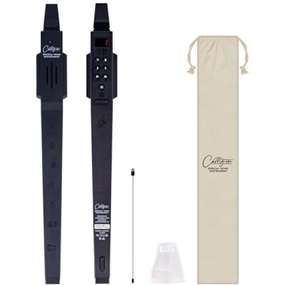 Carry-on BLACKSTAR Carry on by Digital Wind Instrument nero 10 voces, batería recargable USBintegrada, salida de auriculares para practicar en silencio, Midi por Bluetooth, Carry-on BLACKSTAR Carry on by Digital Wind Instrument nero 10 voces, batería recargable USBintegrada, salida de auriculares para practicar en silencio, Midi por Bluetooth,