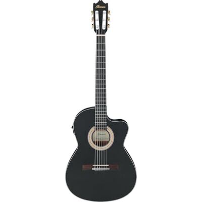 Ibanez Acoustic guitar / Standard Ibanez Acoustic guitar / Standard