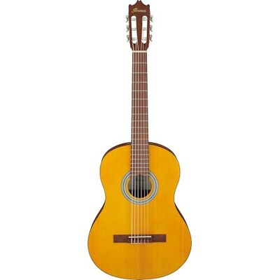 Ibanez Acoustic guitar / Standard Ibanez Acoustic guitar / Standard