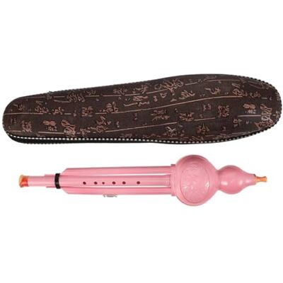 DVCSDE Hulusi Para Principiantes Clave Hulusi Flauta Grabadora Instrumento Plástico 7 Agujeros Durable Resistente A Caídas Principiante Música Soprano(Pink) DVCSDE Hulusi Para Principiantes Clave Hulusi Flauta Grabadora Instrumento Plástico 7 Agujeros Durable Resistente A Caídas Principiante Música Soprano(Pink)