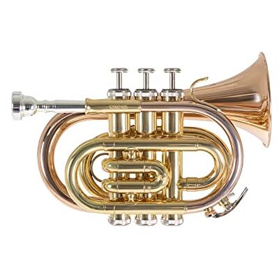 GEWA Roy Benson Trompeta de bolsillo en Sib PT-101G (con campana de latón dorado, tamaño compacto y sonido profesional, incluye estuche rectangular y juego de mochila) GEWA Roy Benson Trompeta de bolsillo en Sib PT-101G (con campana de latón dorado, tamaño compacto y sonido profesional, incluye estuche rectangular y juego de mochila)