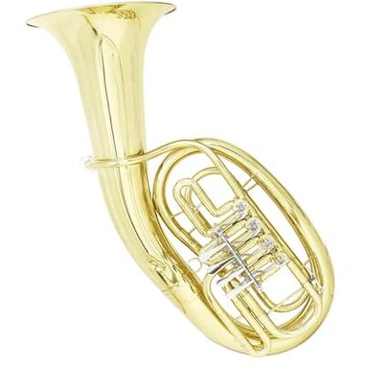 JTYUERWQ Tuba para principiantes Eufonio de 4 teclas bemoles cuerpo de latón instrumento musical de metal(LDT960) JTYUERWQ Tuba para principiantes Eufonio de 4 teclas bemoles cuerpo de latón instrumento musical de metal(LDT960)
