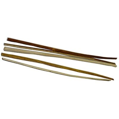 JAS Dhol Chanti Cane 5 JAS Dhol Chanti Cane 5