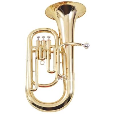 DVCSDE Eufonio Para Principiantes Bombardino Trompa En Si Bemol Tuba Instrumentos Musicales Profesionales De 3 Teclas DVCSDE Eufonio Para Principiantes Bombardino Trompa En Si Bemol Tuba Instrumentos Musicales Profesionales De 3 Teclas