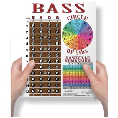 A New Song Music Diapasón laminado de 4 cuerdas, gráfico de notas, sistema de números Nashville y círculo de quintos, póster de instrucciones fácil para principiantes para cuaderno, 8.5 x 11 pulgadas A New Song Music Diapasón laminado de 4 cuerdas, gráfico de notas, sistema de números Nashville y círculo de quintos, póster de instrucciones fácil para principiantes para cuaderno, 8.5 x 11 pulgadas