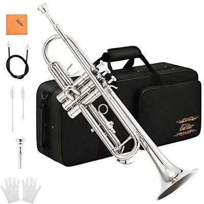 Eastar Juego de trompeta Standard en Sib para principiantes, instrumento de viento metal para estudiantes, con estuche rígido, kit de limpieza, boquilla 7C y guantes, ETR-380N, plateado Eastar Juego de trompeta Standard en Sib para principiantes, instrumento de viento metal para estudiantes, con estuche rígido, kit de limpieza, boquilla 7C y guantes, ETR-380N, plateado