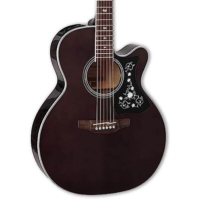 Takamine NEX Cutaway Guitarra acústica y eléctrica, color negro transparente Takamine NEX Cutaway Guitarra acústica y eléctrica, color negro transparente