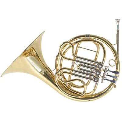 GEWA Roy Benson F-Waldhorn HR-302 (campana y cuerpo de latón, 3 válvulas con rótulas, tudel de latón dorado, correderas de alpaca, calidad de sonido profesional, con estuche compacto) GEWA Roy Benson F-Waldhorn HR-302 (campana y cuerpo de latón, 3 válvulas con rótulas, tudel de latón dorado, correderas de alpaca, calidad de sonido profesional, con estuche compacto)