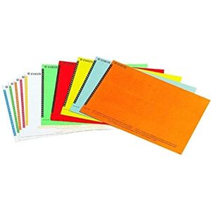 Leitz Esselte Paquete de 250 etiquetas para carpetas colgantes, multicolor Leitz Esselte Paquete de 250 etiquetas para carpetas colgantes, multicolor