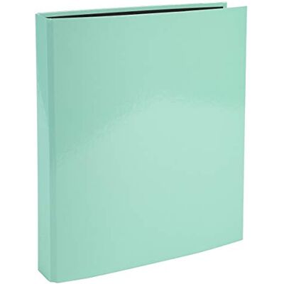Exacompta Ref. 51563E Cartón de 10 archivadores, 4 anillas en D, 25 mm, parte trasera de 40 mm, interior negro, dimensiones exteriores 31,5 x 27 cm, tamaño A4, color verde pastel Exacompta Ref. 51563E Cartón de 10 archivadores, 4 anillas en D, 25 mm, parte trasera de 40 mm, interior negro, dimensiones exteriores 31,5 x 27 cm, tamaño A4, color verde pastel
