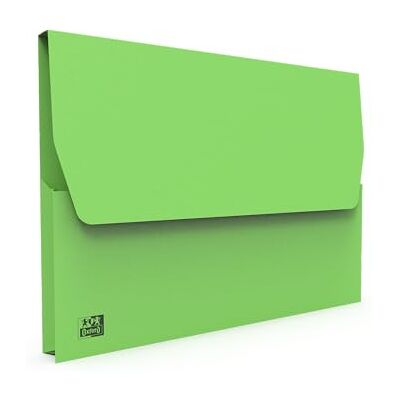 Oxford – Lote de 10 fundas VIP 24 x 32 cm, tarjeta Kraft de 240 g, capacidad para 200 hojas, color verde brillante Oxford – Lote de 10 fundas VIP 24 x 32 cm, tarjeta Kraft de 240 g, capacidad para 200 hojas, color verde brillante