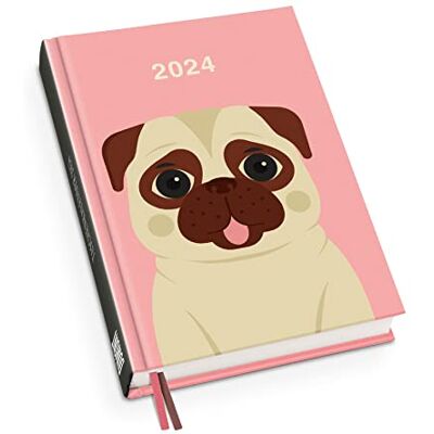 DUMONT Agenda de bolsillo 2024 con ilustración de animales de Dawid Ryski, con calendario semanal, formato 11,3 x 16,3 cm DUMONT Agenda de bolsillo 2024 con ilustración de animales de Dawid Ryski, con calendario semanal, formato 11,3 x 16,3 cm
