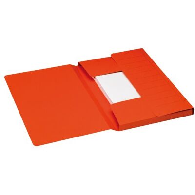 Djois Jalema file folder (10 Djois Jalema file folder (10