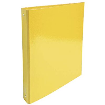 Exacompta ref. 519299E Iderama Caja de 10 archivadores rígidos, 4 anillas redondas, diámetro 30 mm, parte trasera de 40 mm, dimensiones externas: 32 x 26 cm, tamaño A4, color amarillo Exacompta ref. 519299E Iderama Caja de 10 archivadores rígidos, 4 anillas redondas, diámetro 30 mm, parte trasera de 40 mm, dimensiones externas: 32 x 26 cm, tamaño A4, color amarillo