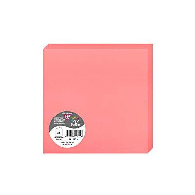 Clairefontaine 2126 C Pollen Pack de 25 Sobres dípticas 16 x 16 cm), color litchi 16 x 16 x 0.10 Clairefontaine 2126 C Pollen Pack de 25 Sobres dípticas 16 x 16 cm), color litchi 16 x 16 x 0.10