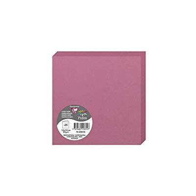 Clairefontaine 22855 C Pollen Pack de 25 Sobres dípticas 13,5 X 13,5 cm rosa Hortensia Clairefontaine 22855 C Pollen Pack de 25 Sobres dípticas 13,5 X 13,5 cm rosa Hortensia