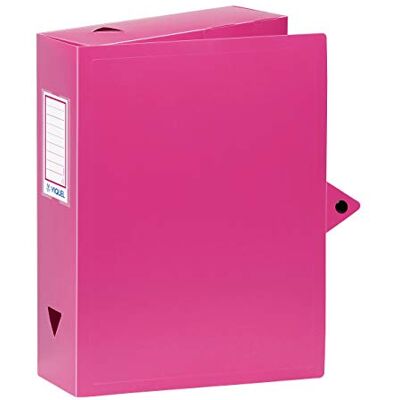 Viquel Caja archivadora de plástico, tamaño A4, lomo de 8 cm, color rosa Viquel Caja archivadora de plástico, tamaño A4, lomo de 8 cm, color rosa