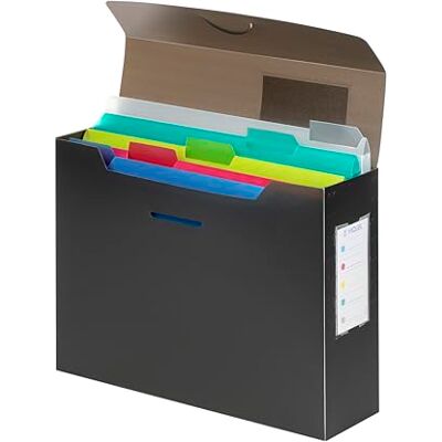 Viquel PROPYGLASS Caja de clasificación A4 con 5 carpetas extraíbles (clasificador A4, color gris translúcido Viquel PROPYGLASS Caja de clasificación A4 con 5 carpetas extraíbles (clasificador A4, color gris translúcido