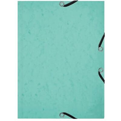 Exacompta Ref. 555663E Cartón de 10 camisas con 3 solapas elásticas Aquarel + 25 fichas Bristol A5 especial revisión para una organización por tema o material, verde pastel Exacompta Ref. 555663E Cartón de 10 camisas con 3 solapas elásticas Aquarel + 25 fichas Bristol A5 especial revisión para una organización por tema o material, verde pastel