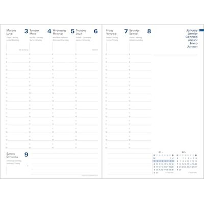 QUO VADIS Recambio de Agenda 13 meses PRESIDENT DIC 23 DIC 24 Multilingüe Semana Vista 21x27cm EQUOLOGY Blanco QUO VADIS Recambio de Agenda 13 meses PRESIDENT DIC 23 DIC 24 Multilingüe Semana Vista 21x27cm EQUOLOGY Blanco