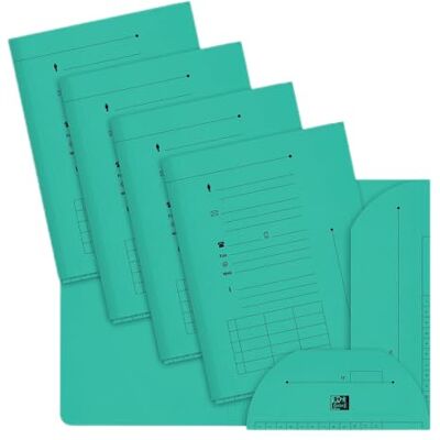 Oxford – Lote de 100 subcarpetas A4, capacidad para 200 hojas, grosor 240 g, color verde pastel Oxford – Lote de 100 subcarpetas A4, capacidad para 200 hojas, grosor 240 g, color verde pastel