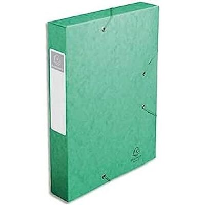 Exacompta Carpeta de proyecto con goma, color verde Exacompta Carpeta de proyecto con goma, color verde