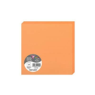 Clairefontaine 2126 C Pollen Pack de 25 Sobres dípticas 16 x 16 cm), color Clémentine 16 x 16 x 0.10 Clairefontaine 2126 C Pollen Pack de 25 Sobres dípticas 16 x 16 cm), color Clémentine 16 x 16 x 0.10